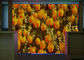 De volledige Geleide Vertoning van de Kleurenvideo Muur, het LEIDENE van IP68 SMD P6 HD Scherm voor Gebeurtenissen leverancier